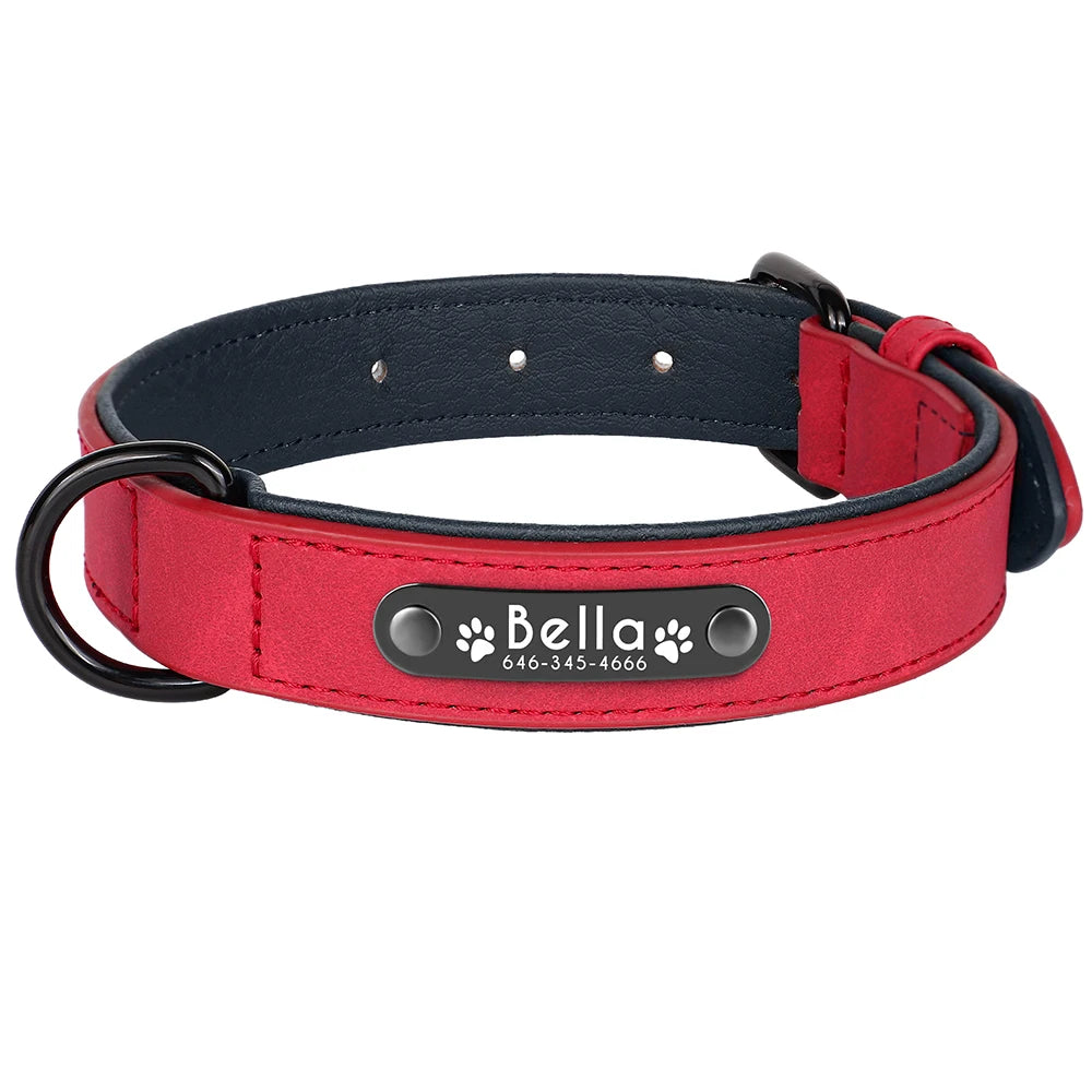 Custom Engraved Leather Dog Collar