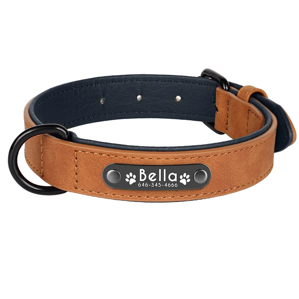 Custom Engraved Leather Dog Collar