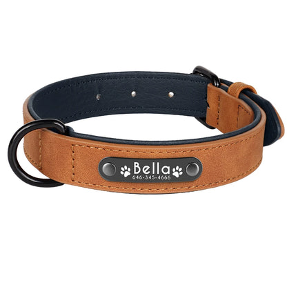 Custom Engraved Leather Dog Collar