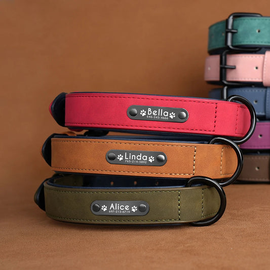 Custom Engraved Leather Dog Collar
